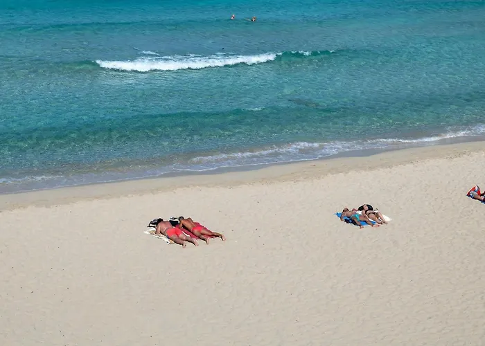 Appartement Glorious Le Pavoncelle-1bedapt B4 Sleep4 Santa Teresa Gallura